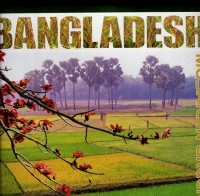 Bangladesh : mosaic in green