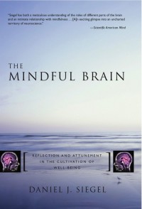 The mindful brain : reflection and attunement in the cultivation of well-being