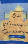 The Strategic Constitution