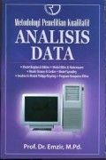 Metodologi penelitian kualitatif : analisis data