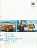 Delivering energy now developing energy for the future : annual report 2008