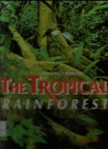 The tropical rainforest