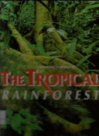 The tropical rainforest