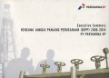 Executive summary rencana jangka panjang perusahaan (RJPP) 2006-2014 PT Pertamina EP