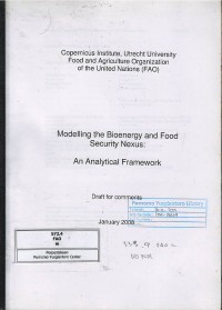 Modelling the bioenergy & food security nexus : an analytical framework (draft for comment)