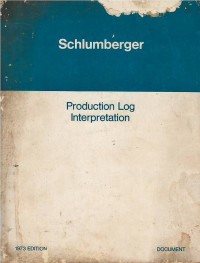 Production log interpretation