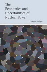 The economics and uncertainties of nuclear power