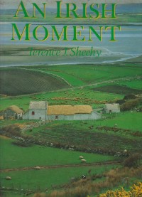 An Irish moment