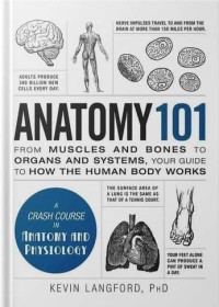 Image of Anatomy 101 : from muscles and bones to organs and systems, your guide to how the human body works