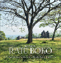 Image of Kraton Ratu Boko : a Javanese site of enigmatic beauty